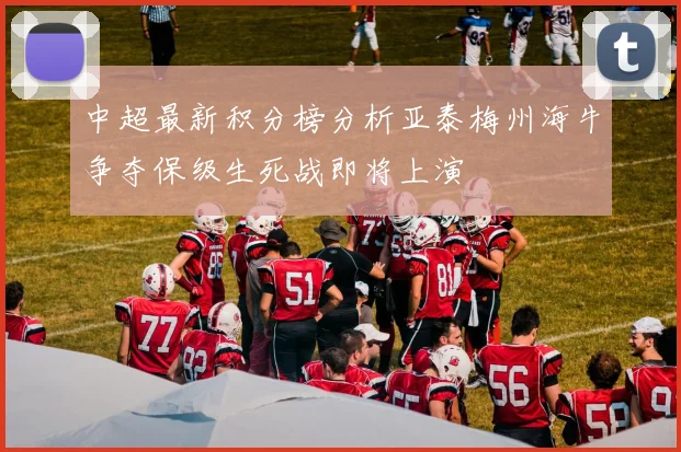 中超最新积分榜分析亚泰梅州海牛争夺保级生死战即将上演