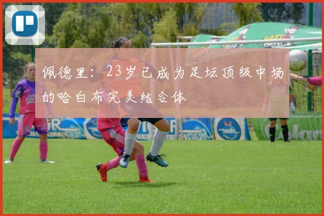 佩德里：23岁已成为足坛顶级中场的哈白布完美结合体