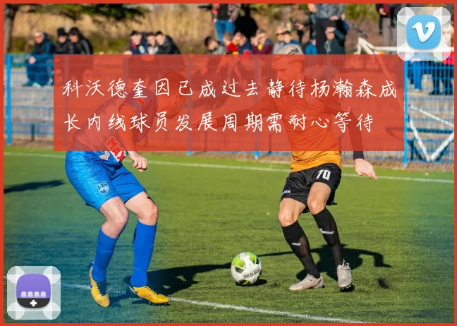 科沃德奎因已成过去静待杨瀚森成长内线球员发展周期需耐心等待