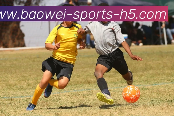 宝威体育APP 高清赛事图